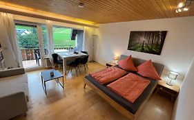 Haus am Sonnenberg, Todtnauberg, Ferienwohnung 204, direkt am Skilift-Skipiste, Nähe Feldberg